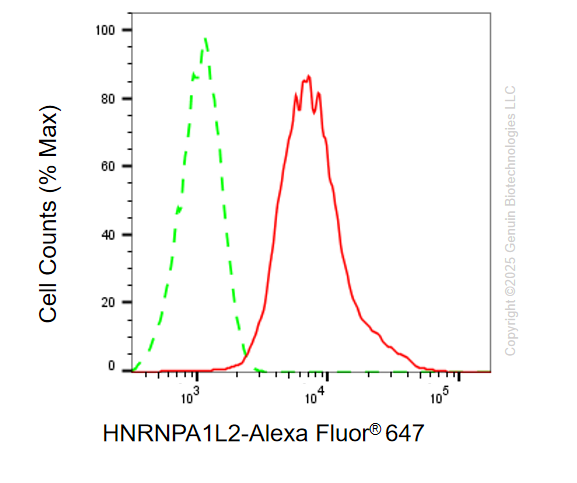 FC - KD-Validated Anti-HNRNPA1L2 Rabbit Monoclonal Antibody AGI2103